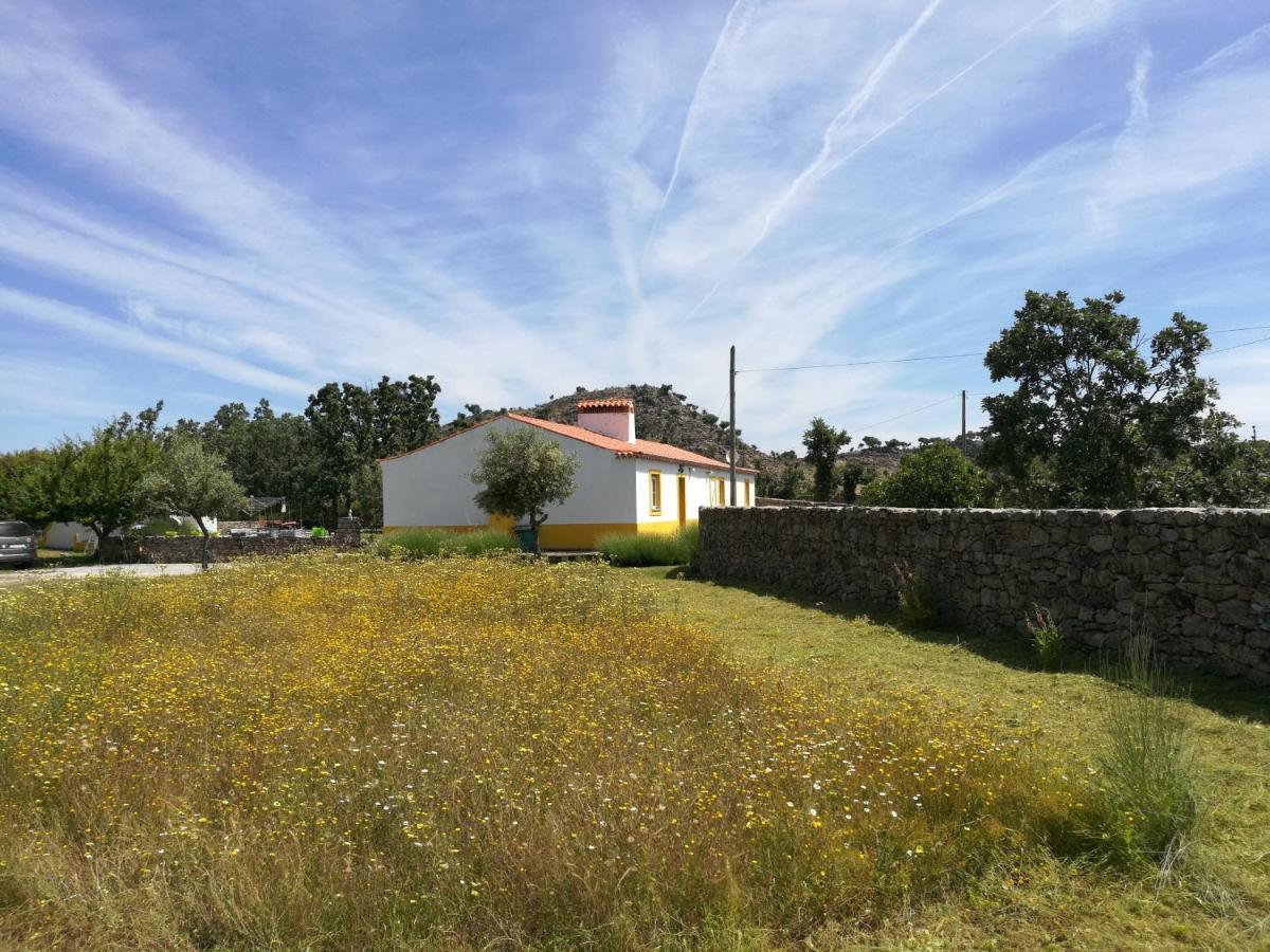 Casa Das Amoras Santo António das Areias 外观 照片